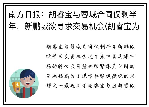 南方日报：胡睿宝与蓉城合同仅剩半年，新鹏城欲寻求交易机会(胡睿宝为什么叫曼城名宿)