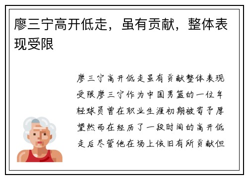廖三宁高开低走，虽有贡献，整体表现受限