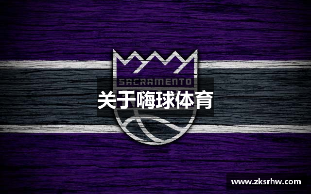关于嗨球体育